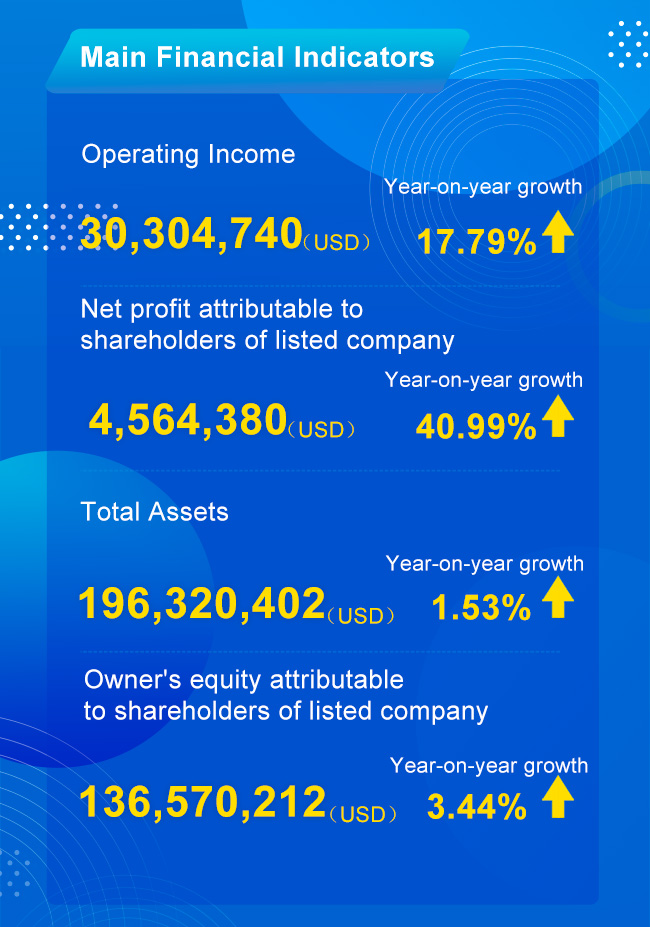 Main financial indicators